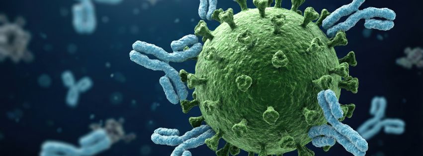 Portada biologia 25_26